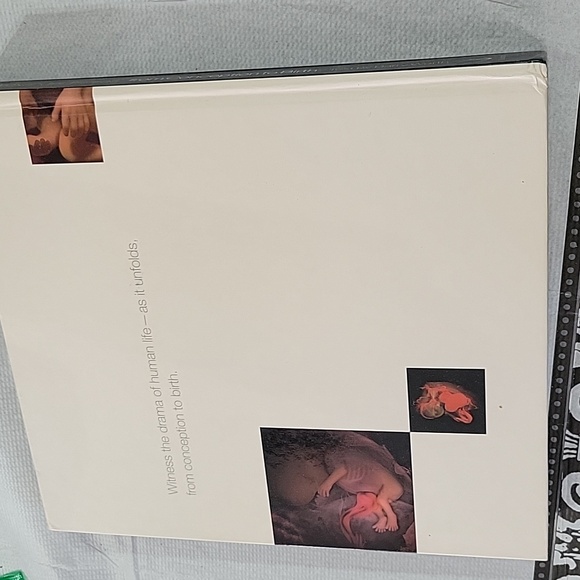 From conception to birth book - Picture 3 of 5